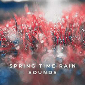 Spring Time Rain Sounds