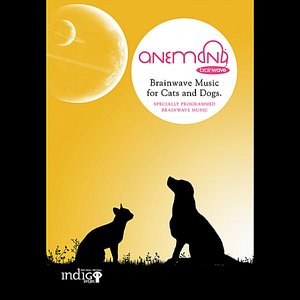 Brainwave Music For Cats And Dogs