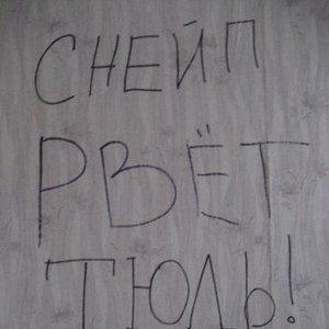 Imagem de 'Снейп рвёт тюль'