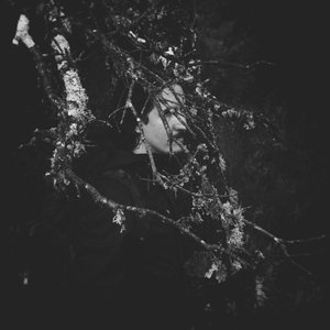 Trees, Clouds & Silence 的头像