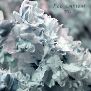 Pop Ambient 2017