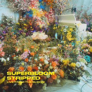 SUPERBLOOM (stripped)