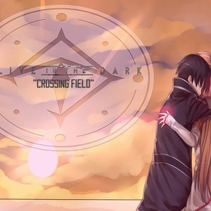 Crossing Fields