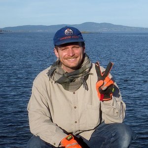 Avatar för Mac DeMarco