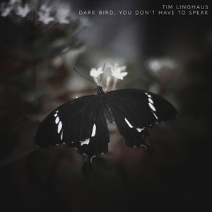 Dark Bird, You Don't Have To Speak