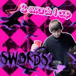 2 Swords 1 Cup