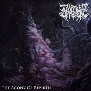The Agony of Rebirth