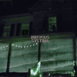 nervous system
