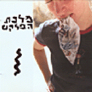 מלכת הפלקט 的头像