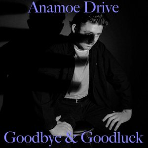 Goodbye & Goodluck - Single