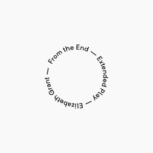 From the End — EP