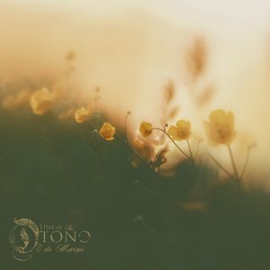 8 de Marzo