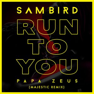 Run To You (Majestic Remix) - Single
