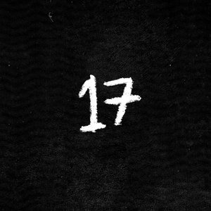 17 - Single