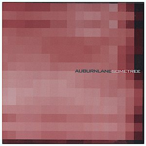 Auburn Lane / Sometree Split