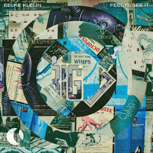 Artwork for Feel It, See It