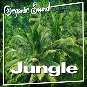 Jungle (Nature Sounds)