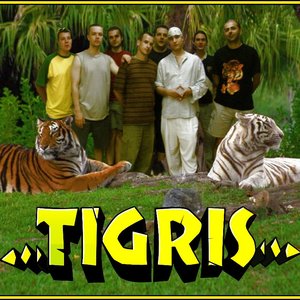 Tigris のアバター