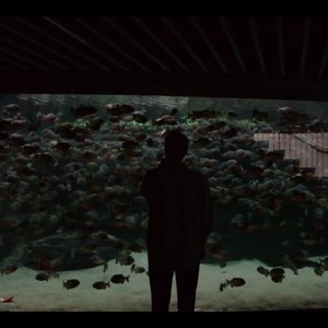 Avatar for what the whale sea