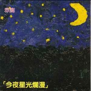 今夜星光爛漫