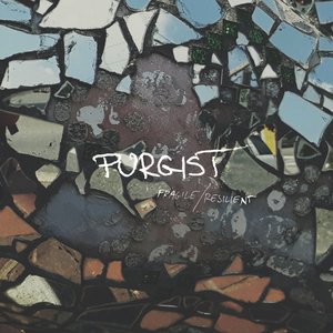 Fragile / Resilient
