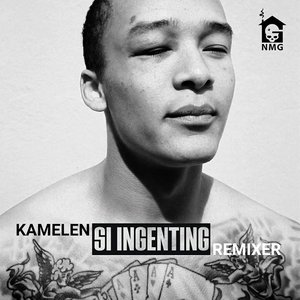 Si Ingenting Remixer