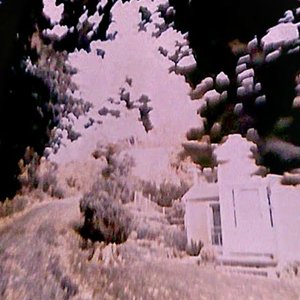 Valley of Never 的头像