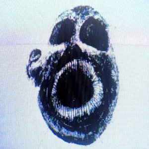 I Heart My Gangstalkers - Single