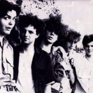 The Mushrooms photo provided by Last.fm