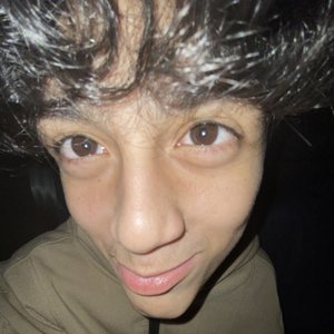 mikel_3000 的头像