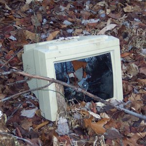 Raised By The World Wide Web