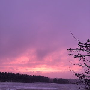Serene - Single