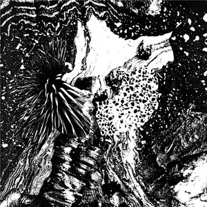 Quasar