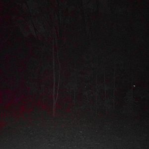 For Those Hoping That I Might Die