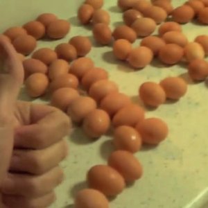 HowToBasic 的头像