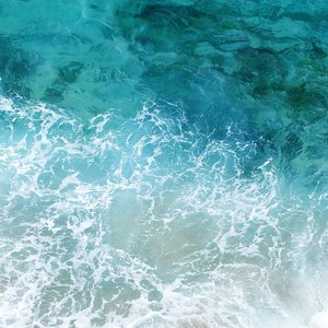 Sea Sounds to Sooth the Mind