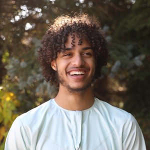 Amin Davis 的头像