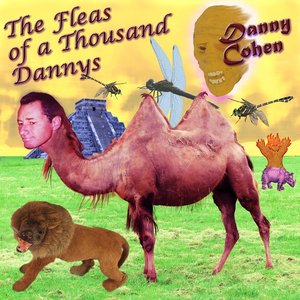 Fleas Of A Thousand Dannys