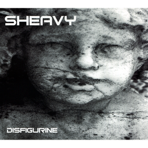 Disfigurine cover