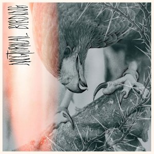 Nocturnal Birding [Explicit]