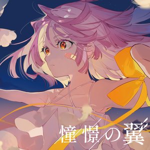 憧憬の翼