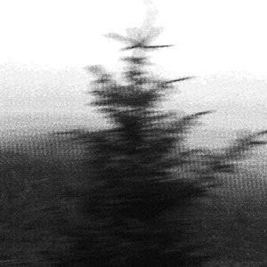 Perichoresis