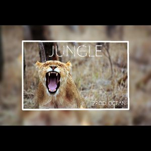 Jungle