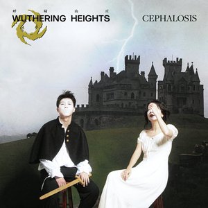 Wuthering Heights呼啸山庄