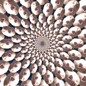 Avatar for Beta Máximo.
