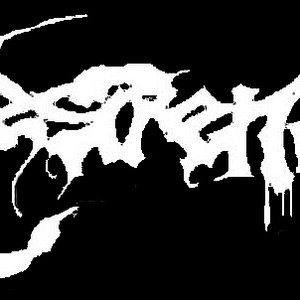 Nestrena 的头像