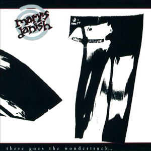 There Goes the Wondertruck... cover