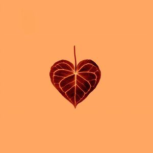 Amber (feat. Javonte Hettinger) - EP