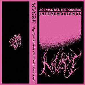 Agentes Del Terrorismo Interemocional