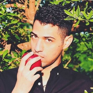 Leo Von Sol 的头像